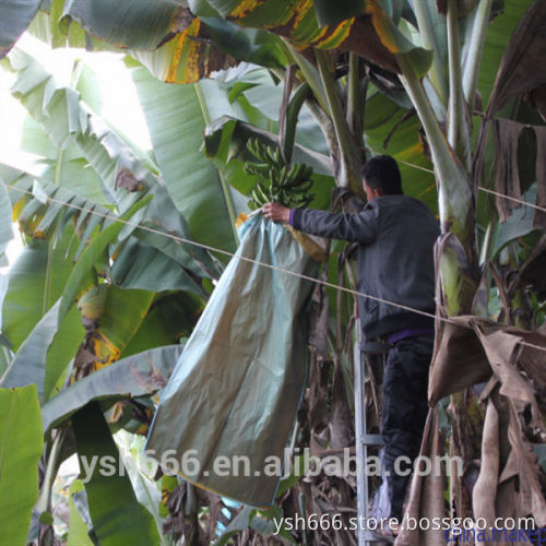 Banana protection bag with cheap price